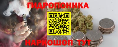 эйфоретик Гусь-Хрустальный