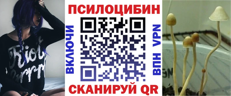 кракен вход  Саров  Псилоцибиновые грибы ЛСД 