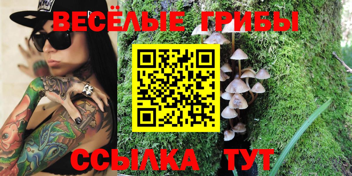 Псилоцибиновые грибы Psilocybe Саров