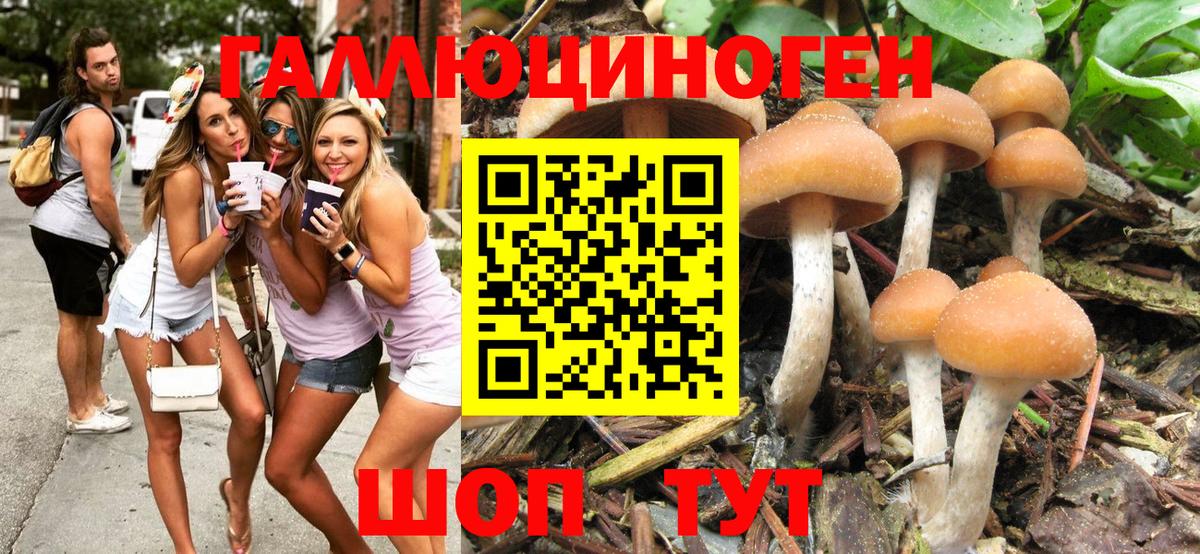 Саров  Галлюциногенные грибы MAGIC MUSHROOMS  Вход с VPN 